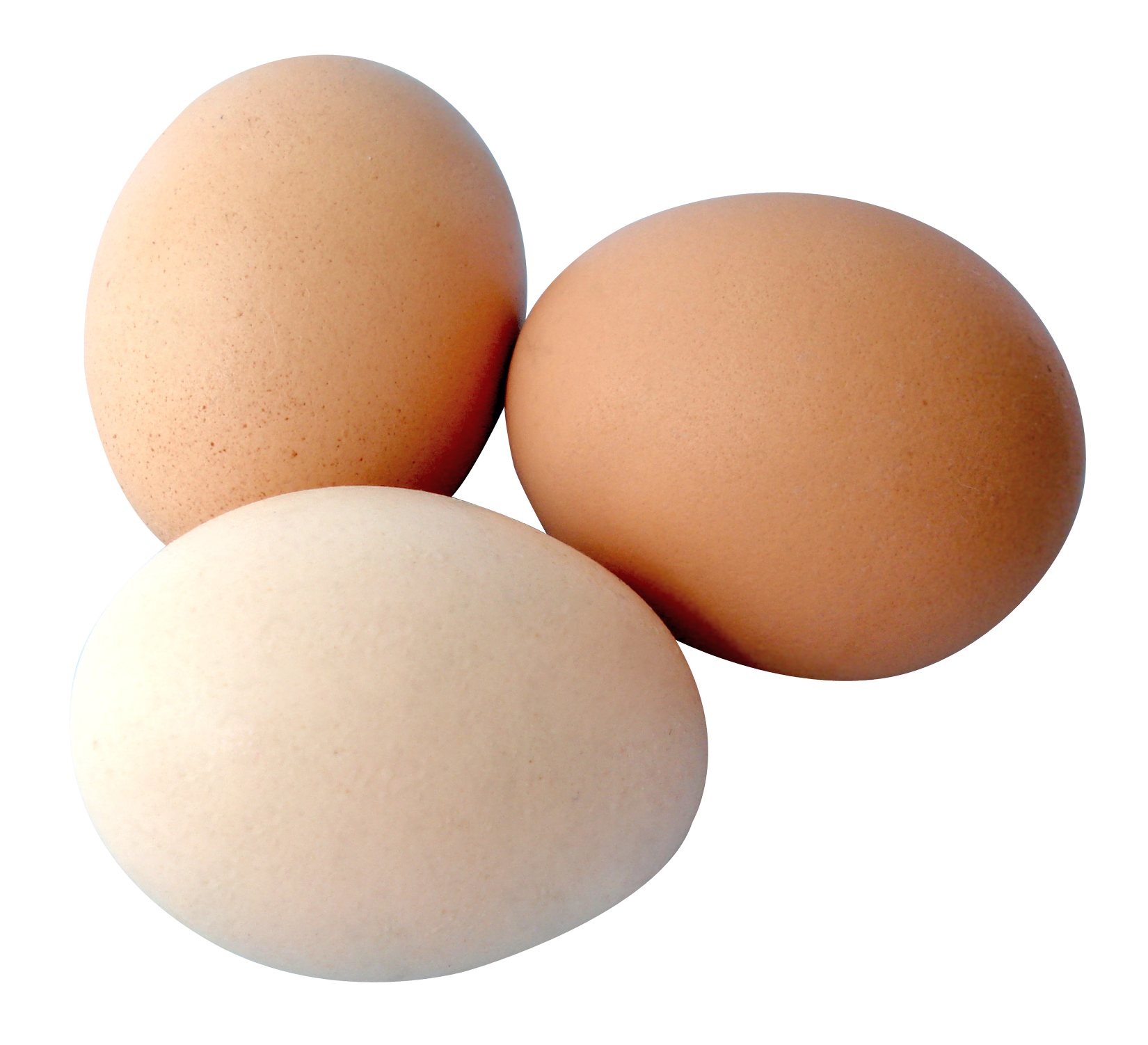 Egg