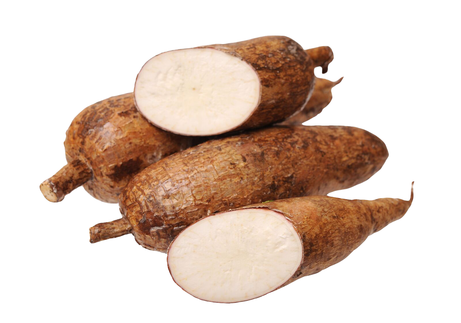 Yucca